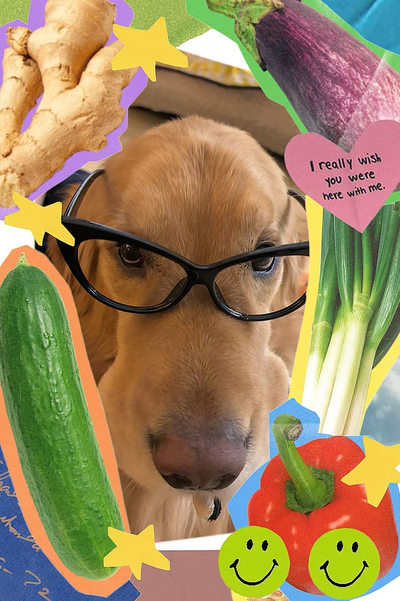 一些职场管理经验之+1到底需要什么样的人才